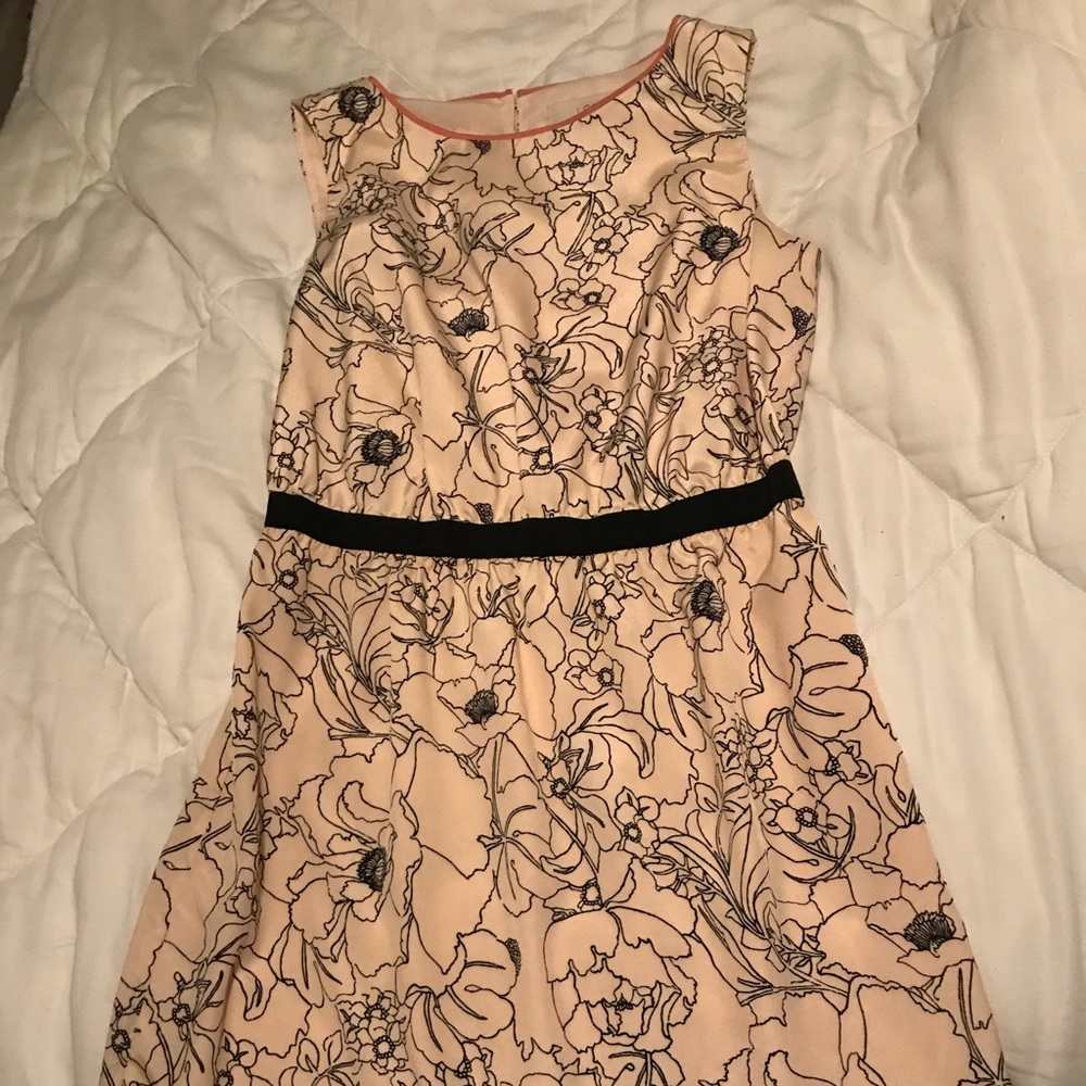 Blush and black Loft dress